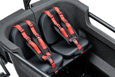 Batavus Fier Kussenset